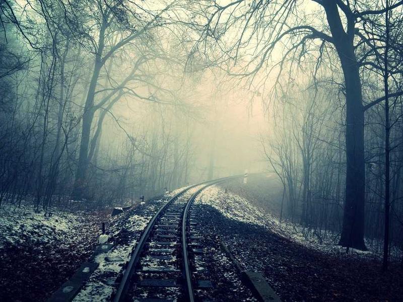 A disused railway track curving through misty autumn woodland